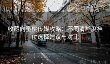 收藏向蜜桃传媒攻略：不同清晰度档位选择建议与对比