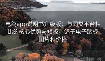 电鸽app说明书升级版：与同类平台相比的核心优势与短板，鸽子电子踏板图片和价格