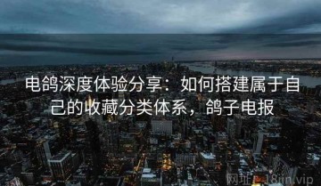电鸽深度体验分享：如何搭建属于自己的收藏分类体系，鸽子电报