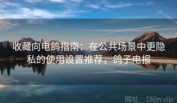 收藏向电鸽指南：在公共场景中更隐私的使用设置推荐，鸽子电报