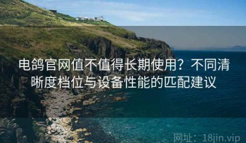电鸽官网值不值得长期使用？不同清晰度档位与设备性能的匹配建议