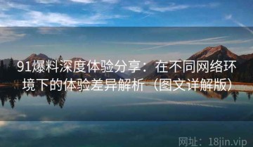 91爆料深度体验分享：在不同网络环境下的体验差异解析（图文详解版）