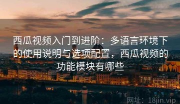 西瓜视频入门到进阶：多语言环境下的使用说明与选项配置，西瓜视频的功能模块有哪些