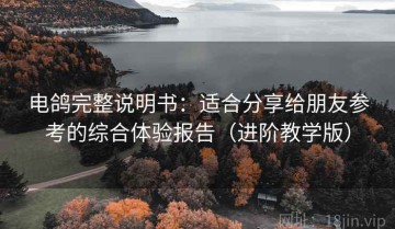 电鸽完整说明书：适合分享给朋友参考的综合体验报告（进阶教学版）