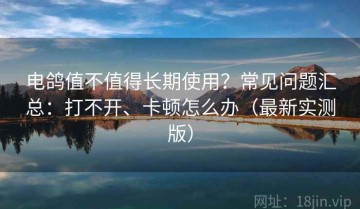 电鸽值不值得长期使用？常见问题汇总：打不开、卡顿怎么办（最新实测版）