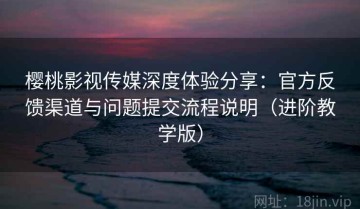 樱桃影视传媒深度体验分享：官方反馈渠道与问题提交流程说明（进阶教学版）