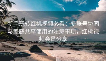 新手玩转红桃视频必看：多账号协同与家庭共享使用的注意事项，红桃视频会员分享