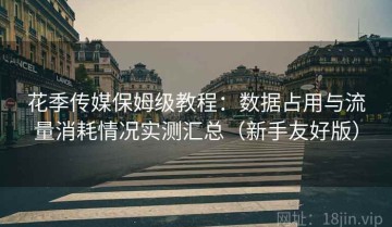 花季传媒保姆级教程：数据占用与流量消耗情况实测汇总（新手友好版）