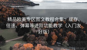 精品欧美专区图文教程合集：缓存、倍速、弹幕等进阶功能教学（入门友好版）