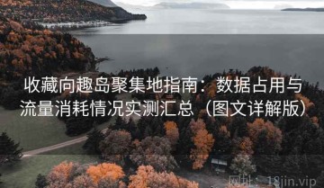 收藏向趣岛聚集地指南：数据占用与流量消耗情况实测汇总（图文详解版）