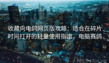 收藏向电鸽网页版攻略：适合在碎片时间打开的轻量使用指南，电脑赛鸽