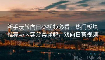 新手玩转向日葵视频必看：热门板块推荐与内容分类详解，戏向日葵视频