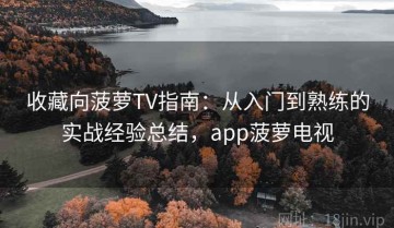收藏向菠萝TV指南：从入门到熟练的实战经验总结，app菠萝电视
