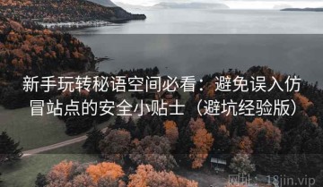 新手玩转秘语空间必看：避免误入仿冒站点的安全小贴士（避坑经验版）