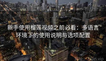 新手使用榴莲视频之前必看：多语言环境下的使用说明与选项配置