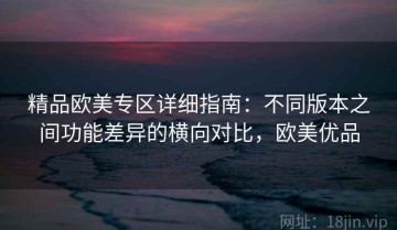 精品欧美专区详细指南：不同版本之间功能差异的横向对比，欧美优品