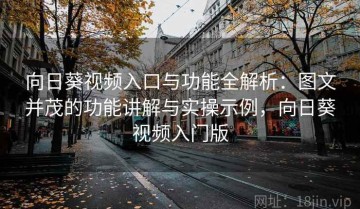 向日葵视频入口与功能全解析：图文并茂的功能讲解与实操示例，向日葵视频入门版