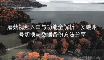 蘑菇视频入口与功能全解析：多端账号切换与数据备份方法分享