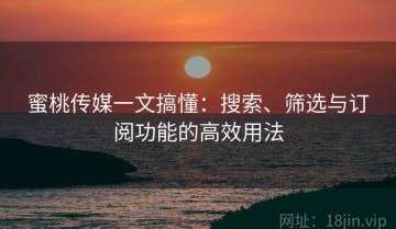 蜜桃传媒一文搞懂：搜索、筛选与订阅功能的高效用法