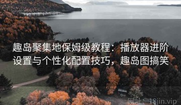 趣岛聚集地保姆级教程：播放器进阶设置与个性化配置技巧，趣岛图搞笑