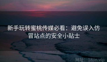 新手玩转蜜桃传媒必看：避免误入仿冒站点的安全小贴士