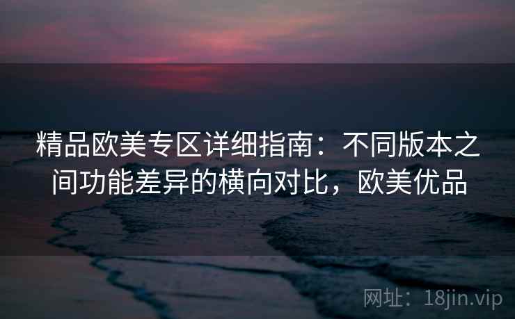 精品欧美专区详细指南：不同版本之间功能差异的横向对比，欧美优品