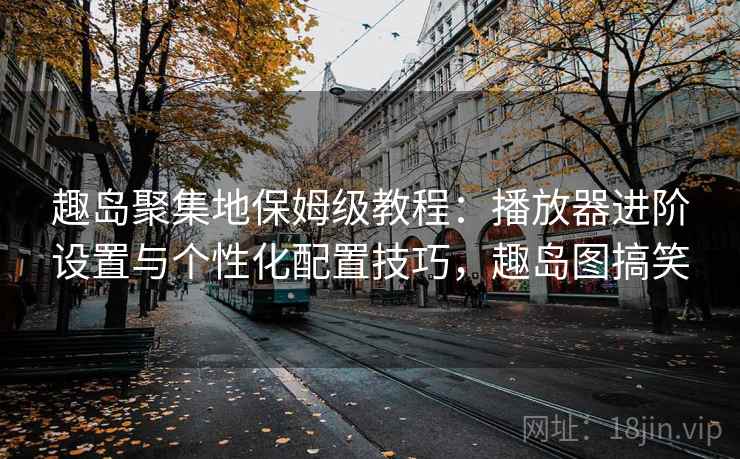 趣岛聚集地保姆级教程：播放器进阶设置与个性化配置技巧，趣岛图搞笑
