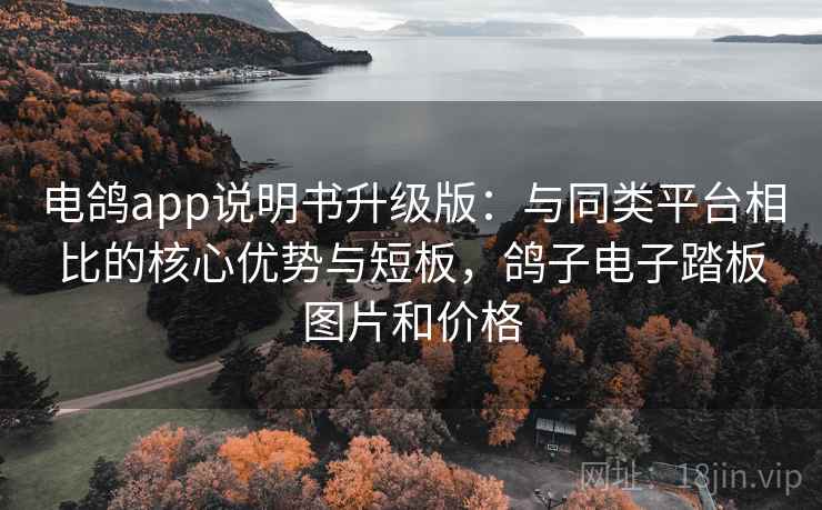 电鸽app说明书升级版：与同类平台相比的核心优势与短板，鸽子电子踏板图片和价格