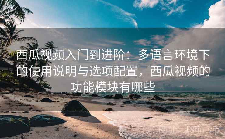 西瓜视频入门到进阶：多语言环境下的使用说明与选项配置，西瓜视频的功能模块有哪些