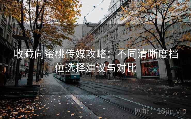 收藏向蜜桃传媒攻略：不同清晰度档位选择建议与对比