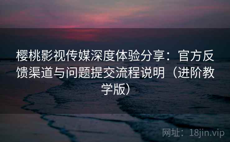 樱桃影视传媒深度体验分享：官方反馈渠道与问题提交流程说明（进阶教学版）