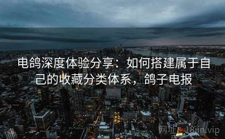 电鸽深度体验分享：如何搭建属于自己的收藏分类体系，鸽子电报