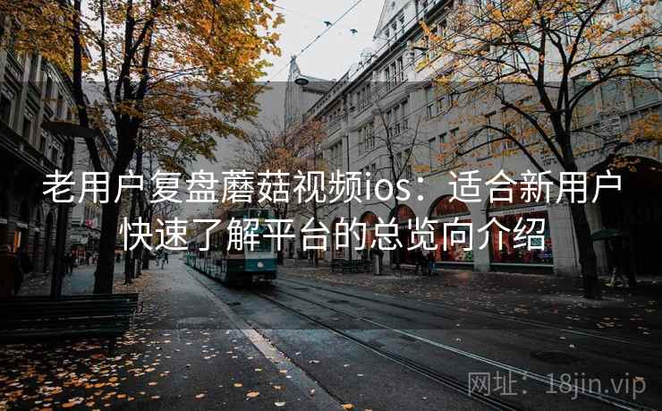 老用户复盘蘑菇视频ios：适合新用户快速了解平台的总览向介绍