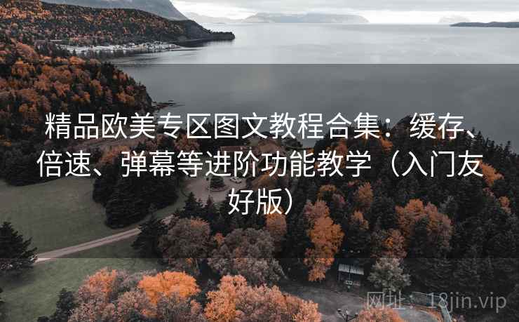 精品欧美专区图文教程合集:缓存、倍速、弹幕等进阶功能教学(入门友好版) 精品欧美专区图文教程合集:缓存、倍速、弹幕等进阶功能教学(入门友好版)