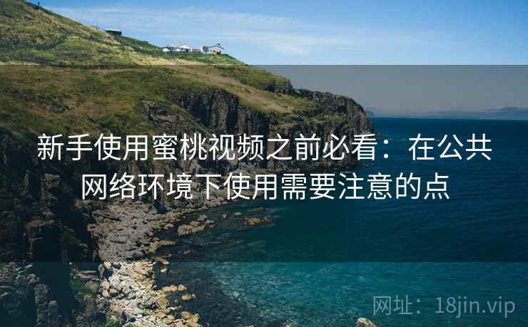 新手使用蜜桃视频之前必看：在公共网络环境下使用需要注意的点